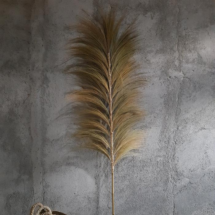 Gambar Home Decor Rayung Kering Panjang 200cm, Bunga Kering Rayung. - natural dari kreasikayu undefined Tokopedia