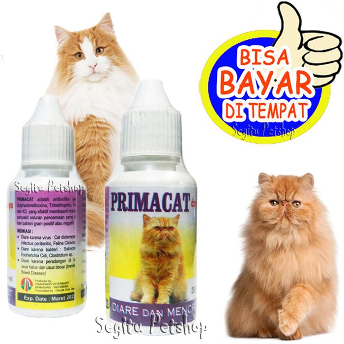 Gambar Obat Diare Mencret Kucing dari SILVERA undefined Tokopedia