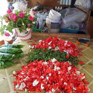 Gambar Kembang Tabur Makam / Kembang Ziarah dari Amiinah Hanania_NEW undefined Tokopedia