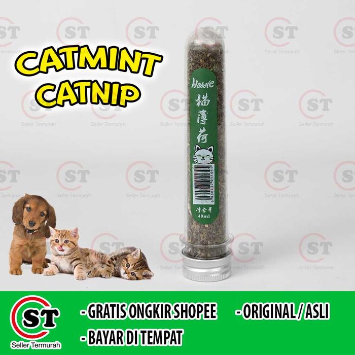 Gambar Catnip Cat - Catnip Refill Catnip Serbuk Alami Kumis Kucing TUBE 40m - Catmint Tube dari SellerTermurah Shop undefined Tokopedia