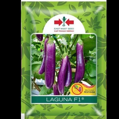 Jual Bibit/benih Terong Laguna F1 isi 