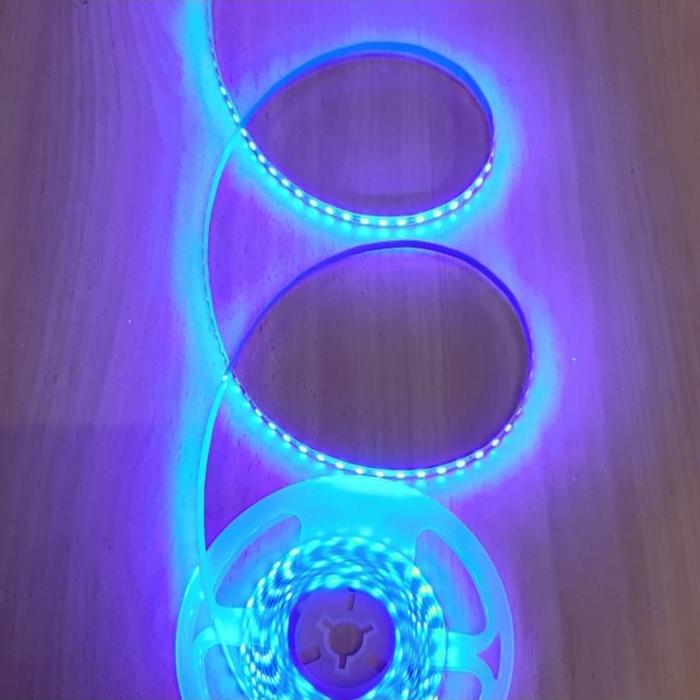 Gambar Lampu Led Strip 2835 3528 120 led per meter IP 33 Non Gel - Biru dari sumber-electric undefined Tokopedia