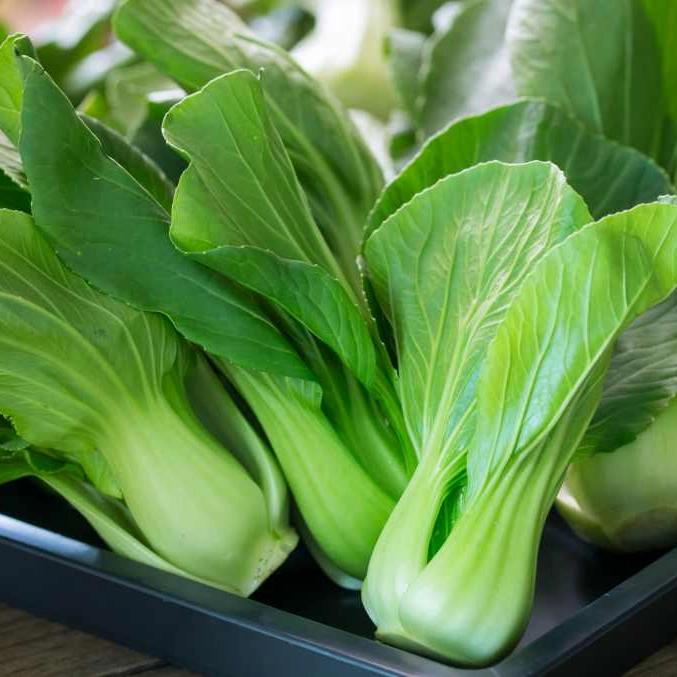 Manfaat makan sayur pakcoy
