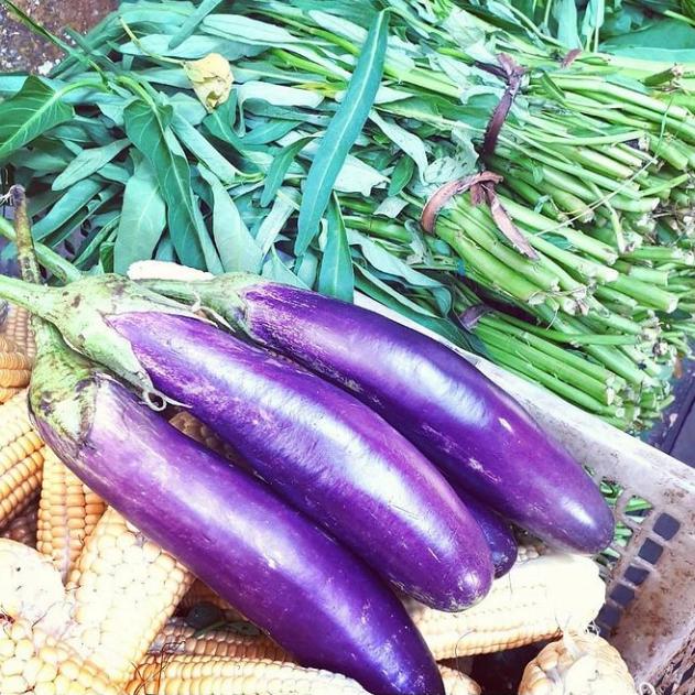 Gambar TERONG UNGU PANJANG dari KIOS BUAH SEGAR OFFICIAL undefined Tokopedia