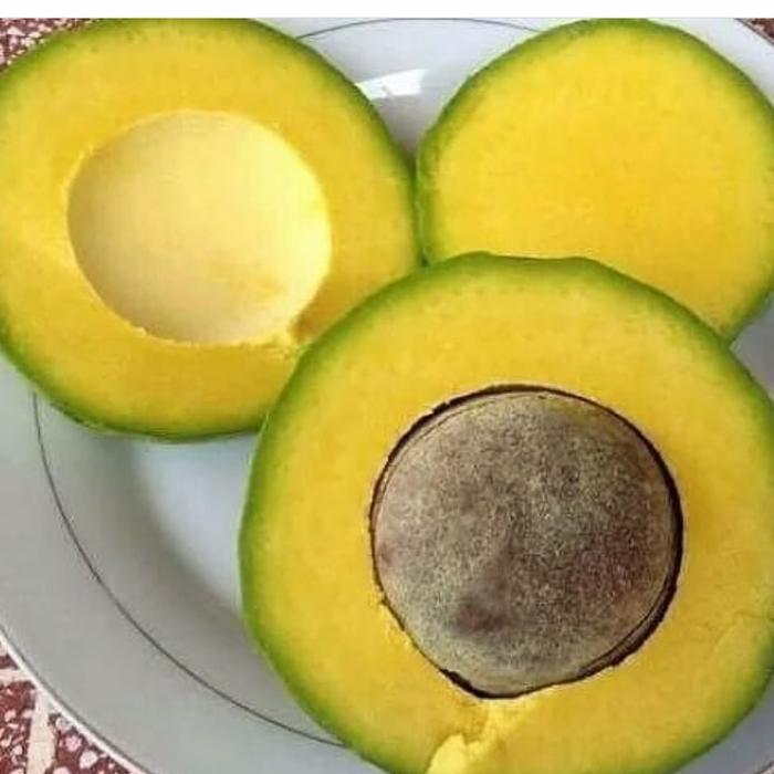 Gambar alpukat mentega premium 1 kg isi 2 - 4 buah - besar dari putrabuah&& undefined Tokopedia