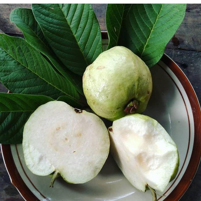 Gambar buah jambu kristal fresh 1 kg / jambu non biji dari putrabuah&& undefined Tokopedia