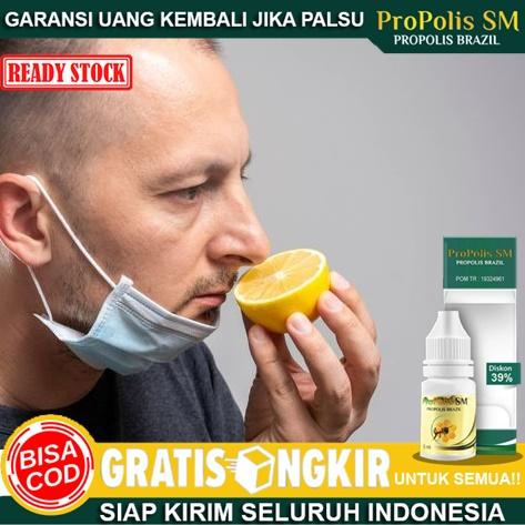 Jual Obat Anosmia Obat Hilang Penciuman Propolis Sm Brazill 100 Asli Kab Bekasi Vherbalstore Tokopedia