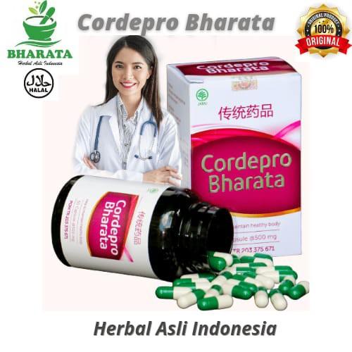 Gambar Obat Herbal Batu Ginjal-Gagal Ginjal Kronis Akut Cordepro Bharata dari FAMILY BHARATA undefined Tokopedia