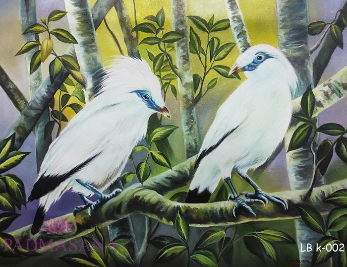 440 Sketsa Gambar Burung Diatas Pohon HD