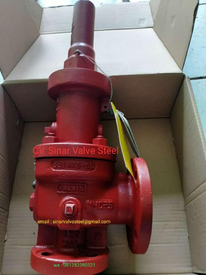 Jual Safety Valve FARRIS 1"x2" ansi 150 wcb Jakarta Barat Grosir