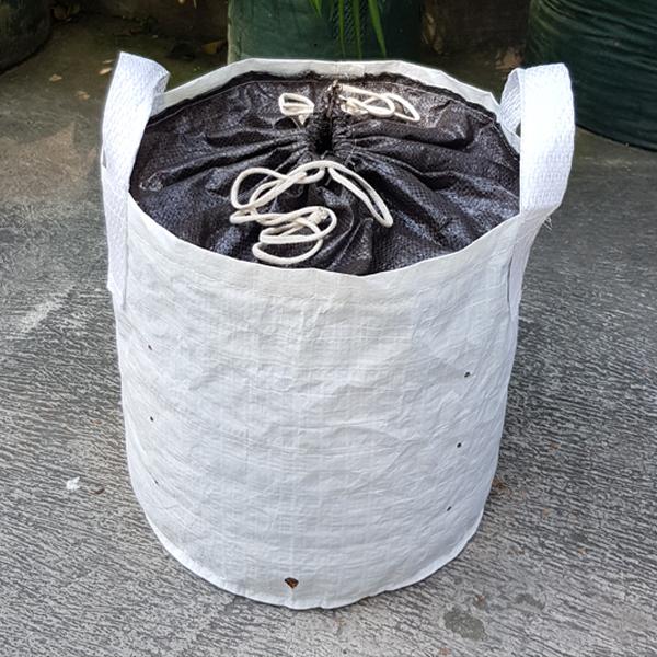Gambar Planter Bag Easy Grow 15 Liter Top Flap - Putih dari Easy Grow Kab. Gunungkidul Tokopedia