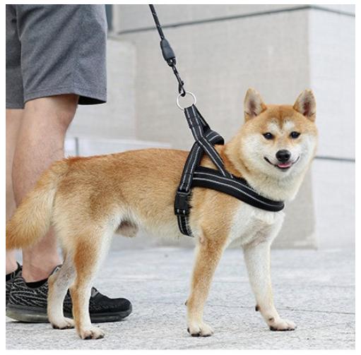 Jual Running Pull Dog Harness Anjing Jogging no Leash Collar Tali