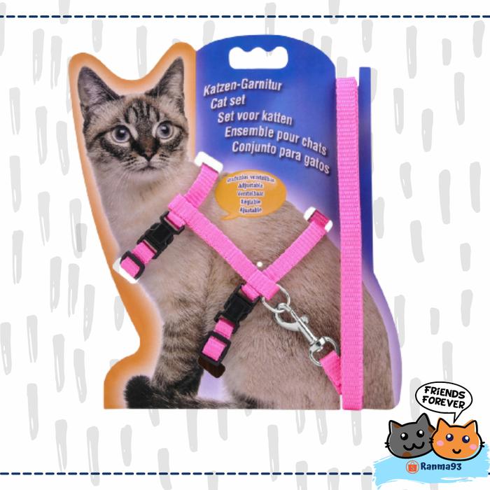 Harga Harnes Kucing