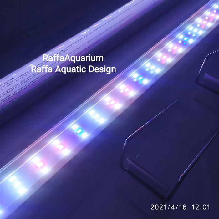 Gambar LED HIKARI PA 800 3X 80 CM 3 MODE LAMPU AQUARIUM 70 CM AQUASCAPE 21W dari Raffa Aquarium Cimahi undefined Tokopedia