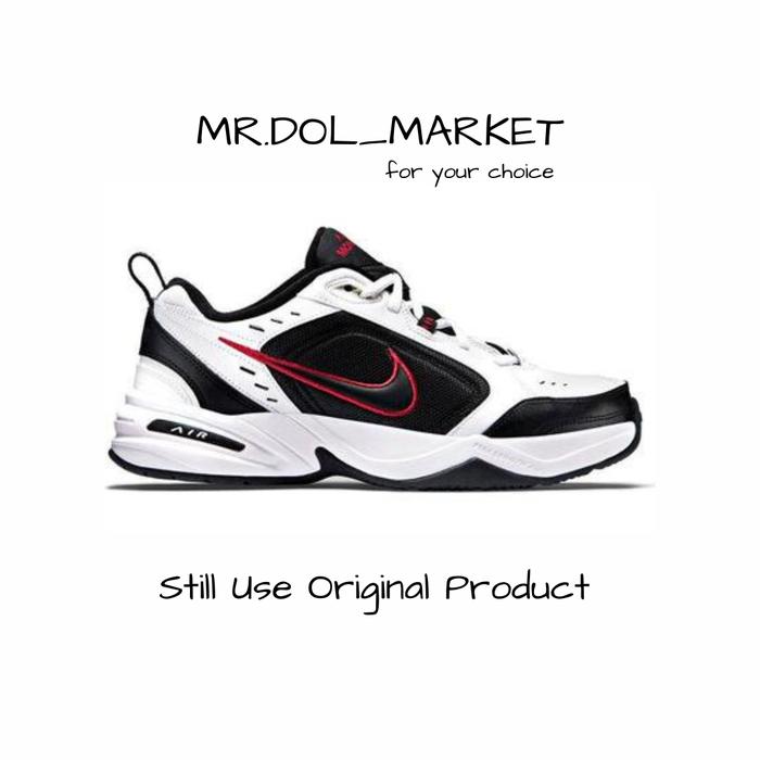 air monarch barçın