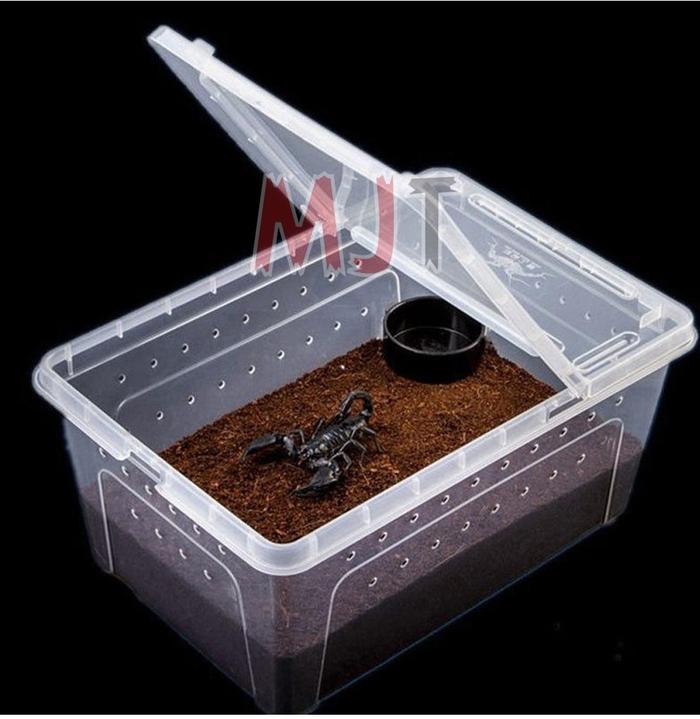 Tarantula Box Jual Kandang Tarantula Enclosure Tarantula Box Reptil M 26x17.5x11.5cm ...