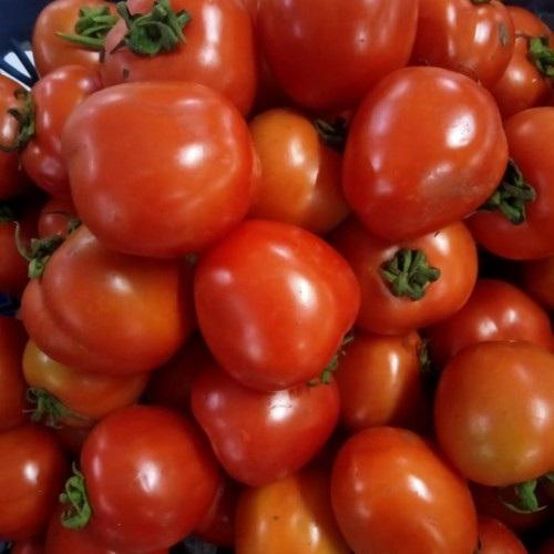 Gambar Tomat Merah Segar 500g - 1Kg | Fresh Red Tomato 500g - 1Kg dari Toko DFF undefined 3 Tokopedia