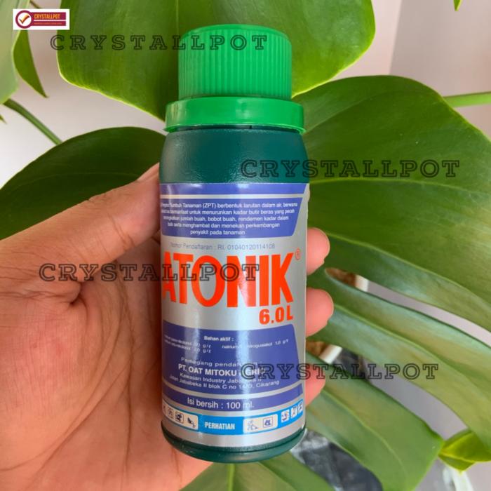 Jual Zat Pengatur Tumbuh Tanaman Zpt Atonik 6 5l 100 Ml Kota Tangerang Crystallpot Tokopedia