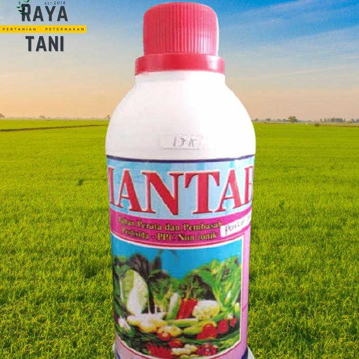 Gambar Perekat perata dan pembasah MANTAB 500ML dari Tokorayatani undefined Tokopedia