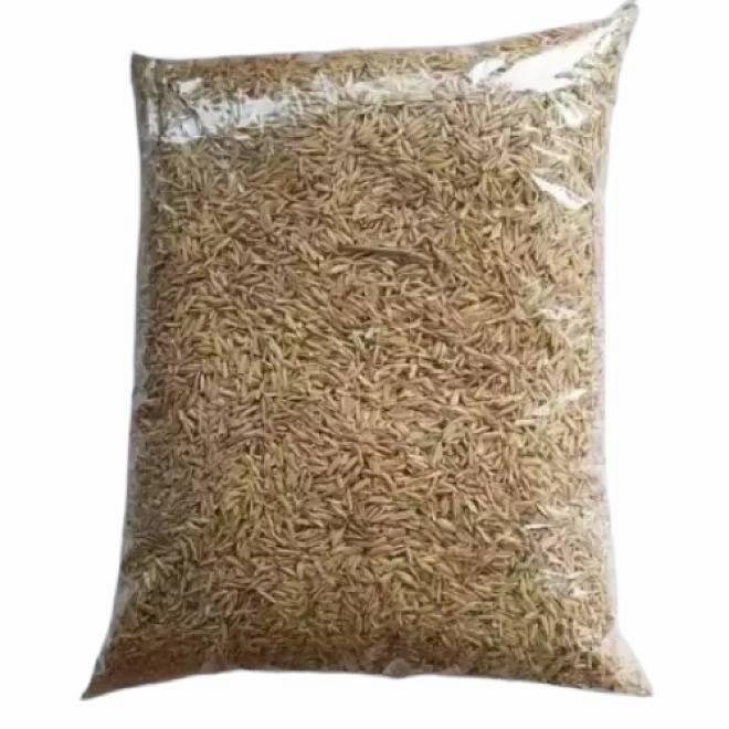 Gambar Media Tanam Sekam Bakar Dan Sekam Mentah - Sekam Mentah dari plantqueid undefined Tokopedia