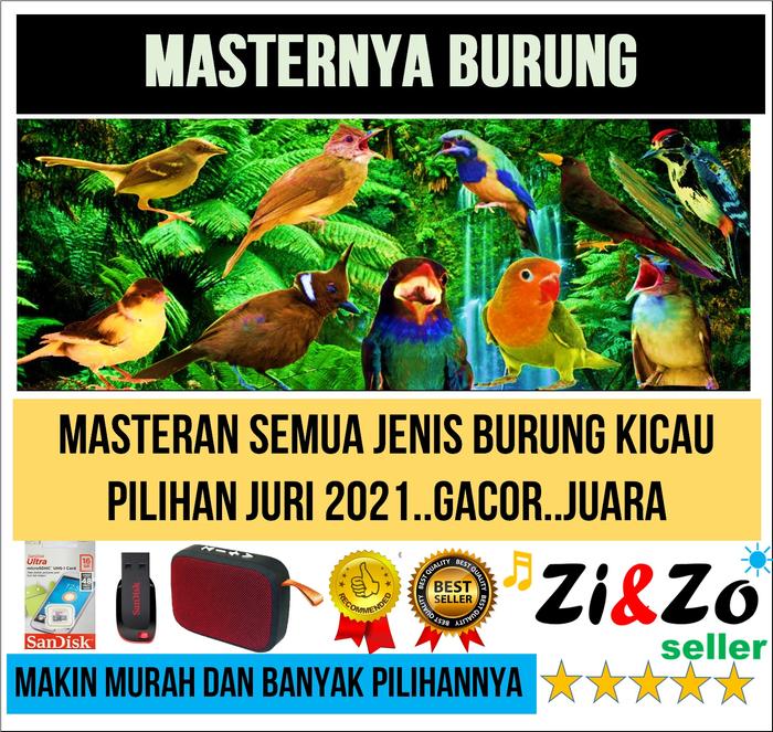 99 Gambar Semua Jenis Unggas Gratis