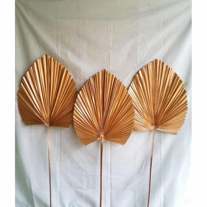 Gambar daun palem kering emas gold coklat dekorasi - Gold dari Luwes toko online undefined Tokopedia