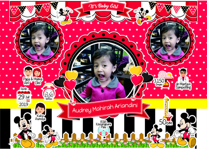 Gambar Hiasan Dinding Cetak Foto Biodata Bayi (cewek) + Bingkai PART 2 - CWE 24 dari Paris Shop Company undefined Tokopedia