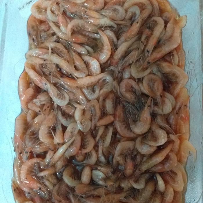 Gambar Saeujeot udang fermentasi ala korea dari Kukiku Cakery undefined Tokopedia