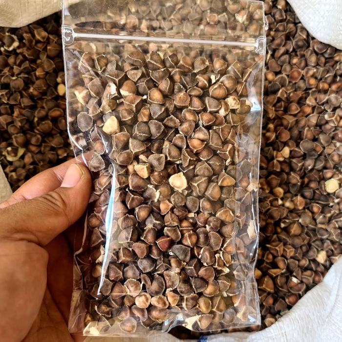 Gambar Biji Kelor 100gr - Moringa Seed dari Herbal Supplier undefined Tokopedia