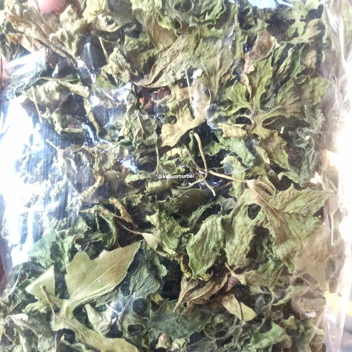 Gambar Daun Pare Alas kering Daun kering Paria Hutan dari kebunmurbei undefined Tokopedia