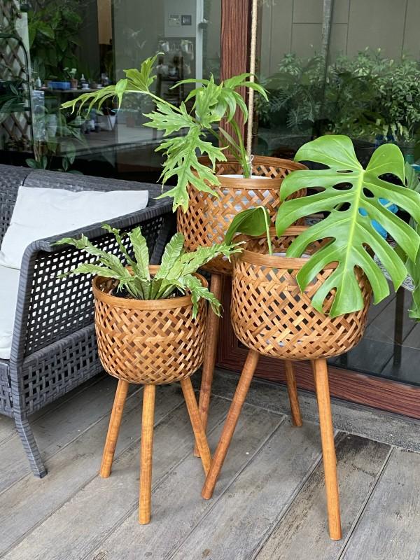Gambar Standing Pot ( Sabrina ) - Wallnut dari Fresh Fever Living undefined Tokopedia