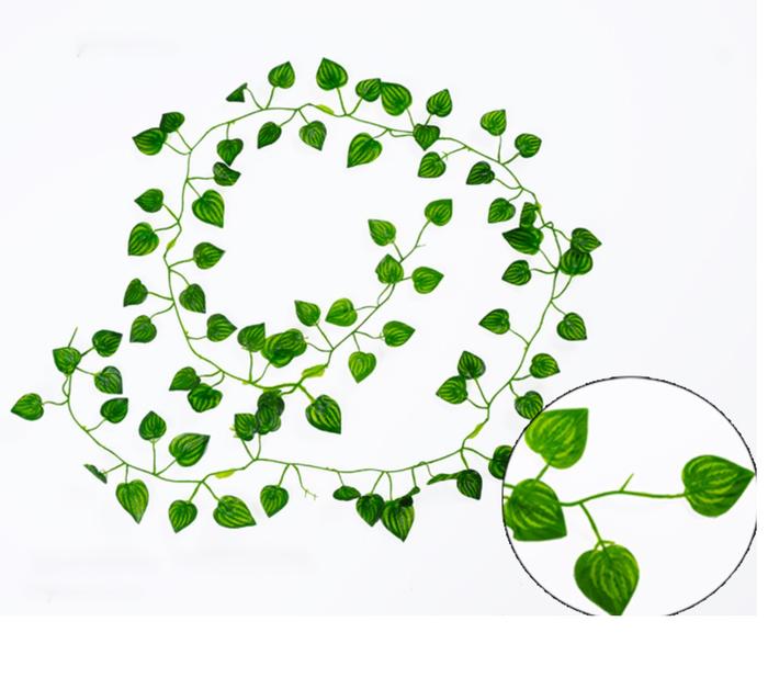 Gambar Daun Rambat Palsu Sulur Srigading Ivy Anggur Semangka Mangkok Juntai - Semangka dari Minimalis Home Tokopedia undefined Tokopedia