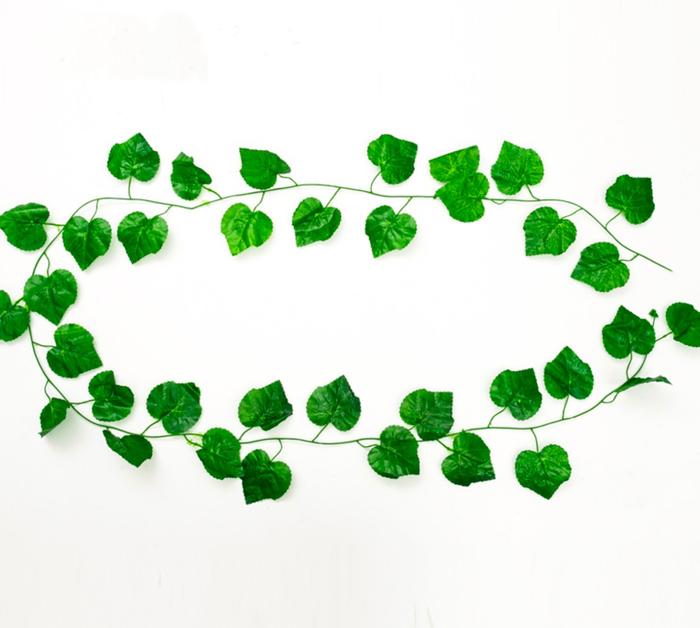 Gambar Daun Rambat Besar Sulur Panjang 2m Srigading Anggur Ivy Maple Plastik - Anggur H. Tua dari Minimalis Home Tokopedia undefined Tokopedia