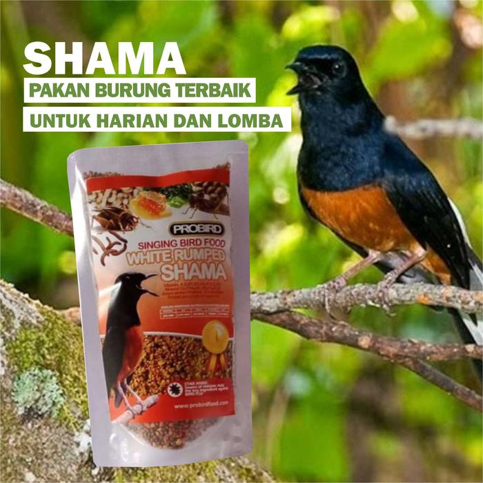 Jual PAKAN BURUNG MURAI BATU FULL MADU KROTO SARI DAN PROTEIN - Kab. Sukoharjo - ANAUPA | Tokopedia