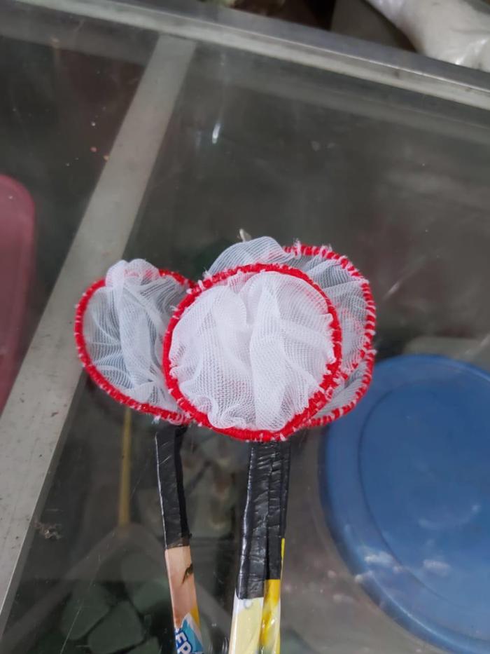Gambar TANGGOK IKAN CUPANG / LAGA (SEROKAN) - KECIL dari Ahuat Aquarium undefined Tokopedia