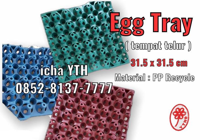 Gambar Tempat telur plastik - rak telur - egg tray isi 30 telur ( grade biasa dari icha YTH yokatta undefined Tokopedia