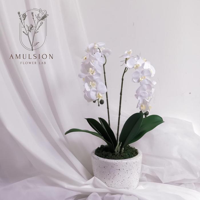 Gambar Bunga Anggrek Artificial Premium Import Latex Set Pot Terracotta - Putih dari Amulsion Flower Lab undefined Tokopedia