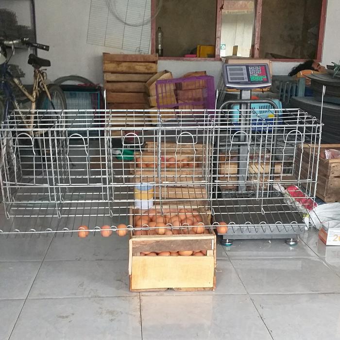 Gambar kandang ayam petelur isi 6 dari poultry equipment_NEW undefined Tokopedia