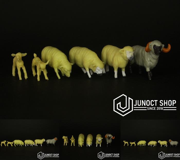 Gambar MAKET BINATANG DOMBA KAMBING 1:50 1:43 1:30 HEWAN - DETAIL ASESORIS - Berdiri Warna dari Junoct Shop undefined Tokopedia