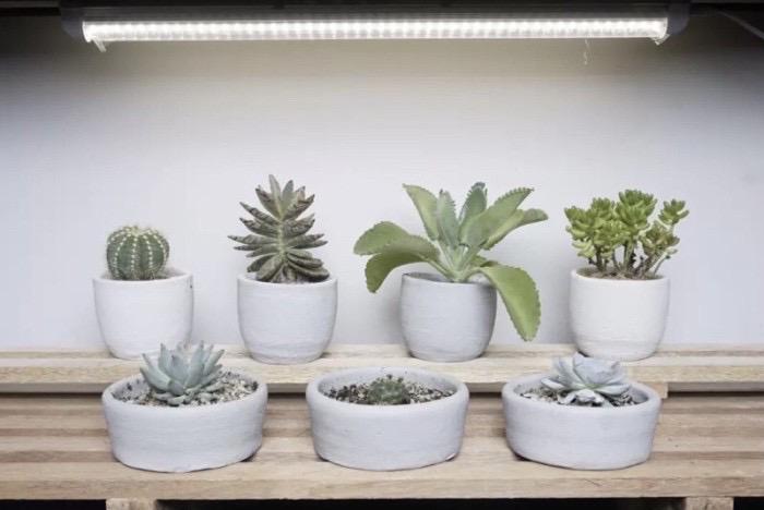 Gambar LED Grow Light T1200-LED36W Lampu Penumbuh Tanaman - Delponting ID - Putih dari Delponting GMI ID undefined Tokopedia