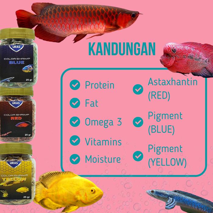 Gambar Udang Kering Color Faster Pakan Ikan Predator Oscar Channa Arwana - Kuning, 25 gram dari Toko Segen undefined Tokopedia
