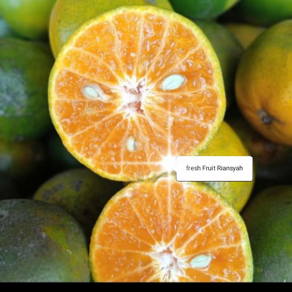 Gambar BUAH JERUK PERAS FRESH PER KG dari fresh Fruit Riansyah undefined Tokopedia