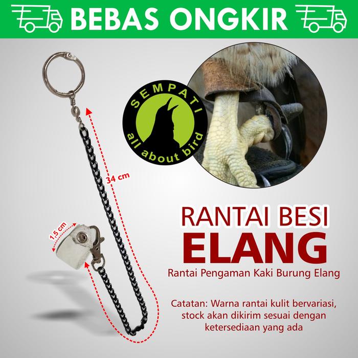 440 Koleksi Gambar Kaki Unggas HD Terbaik