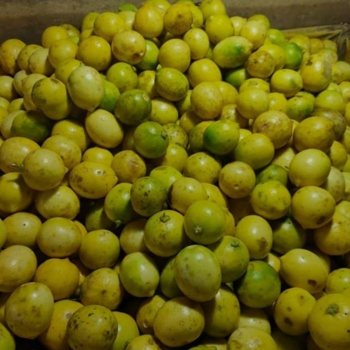 Gambar lemon lokal segar - 1/2 kg dari berkah jaya MM undefined Tokopedia