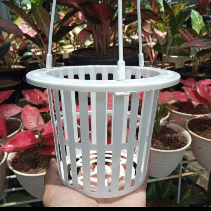 Gambar Pot bunga NKT NetPot GT 15cm putih dari Rivelist1 undefined Tokopedia