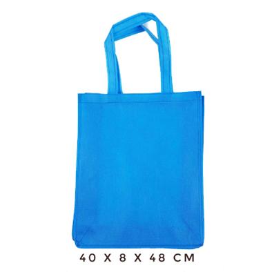 Gambar Spunbond bag - Tas Spunbond - Spunbond - Goodie Bag - TS40848 - Biru Muda dari something sweet cards undefined Tokopedia