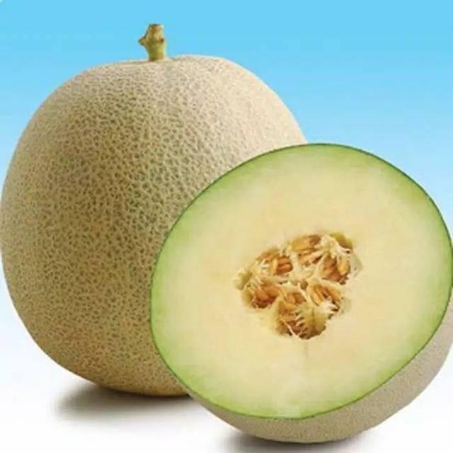 Gambar Buah Melon Super dari CMF Fruit Shop undefined Tokopedia