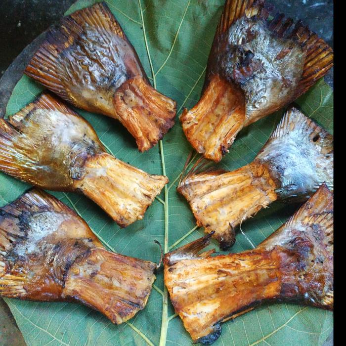 Gambar IKAN ASAP DAGING MANYUNG/IKAN PANGGANG DAGING MANYUNG - BUNTUT dari Kedaitoke Kab. Pati Tokopedia