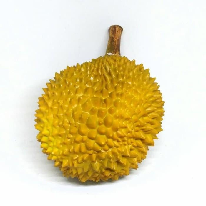 Gambar Mainan Boneka Durian Diameter 21cm dari keviatoyss undefined Tokopedia
