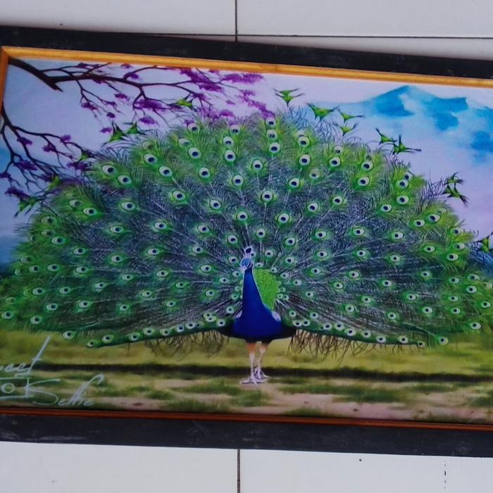 4200 Koleksi Gambar Dekoratif Burung Merak Menggunakan Motif Gratis